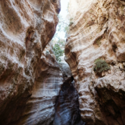 The Avakas Gorge The Avakas Gorge