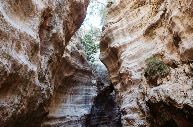 The Avakas Gorge