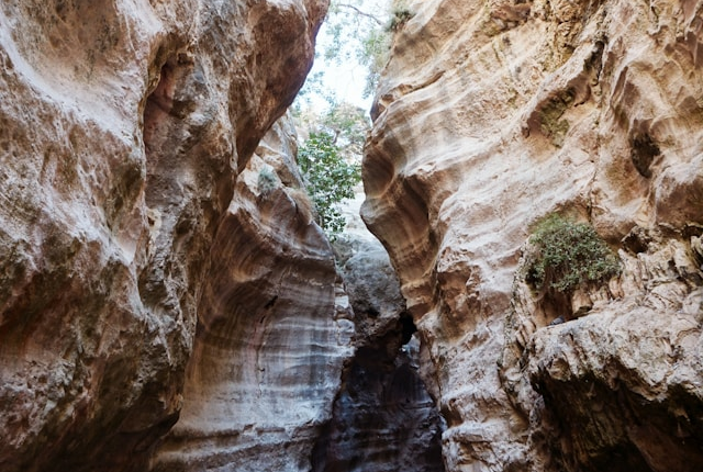 The Avakas Gorge